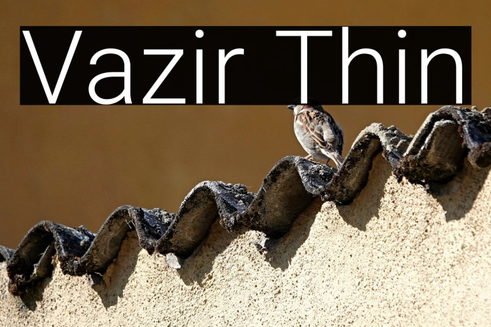 Vazir Thin Example 2