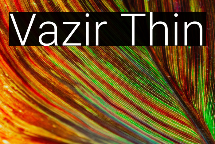 Vazir Thin Example 3