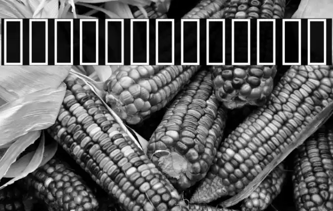 Vazir WOL Font examples