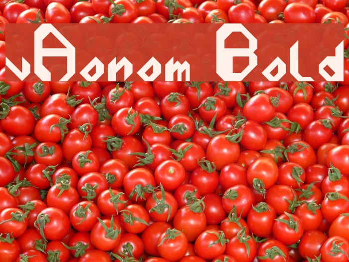 vAonom Bold Example 1