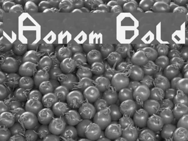 vAonom Bold Font examples
