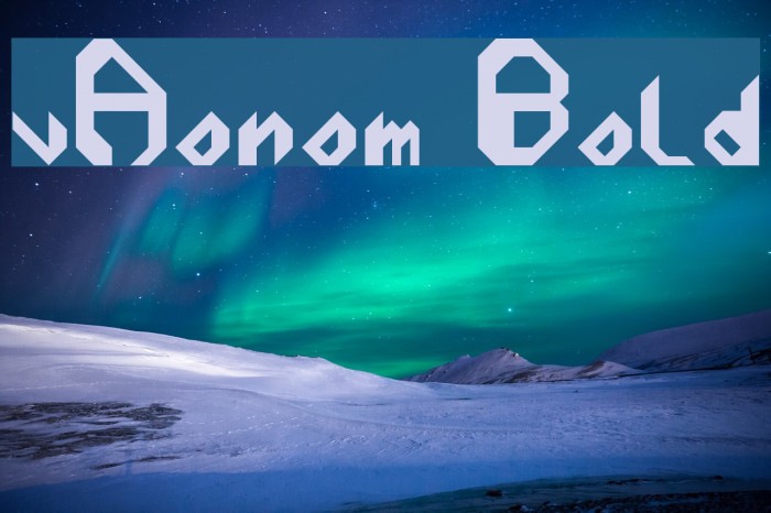 vAonom Bold Example 2