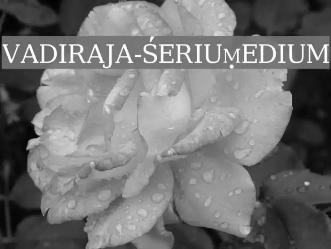 vadiraja-SerifMedium Font examples
