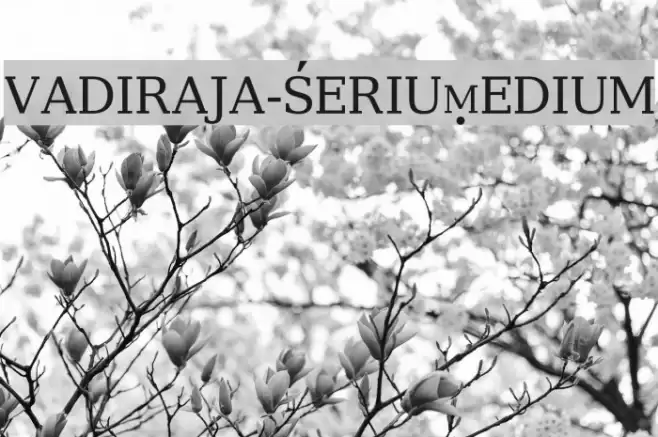 vadiraja-SerifMedium Font examples