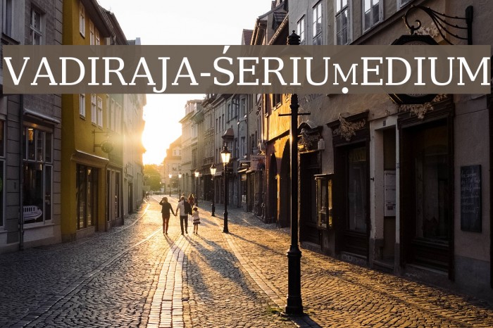 vadiraja-SerifMedium Шрифта examples