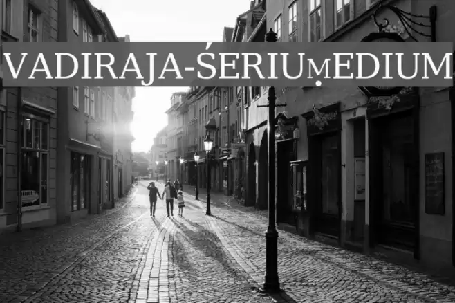vadiraja-SerifMedium Font examples