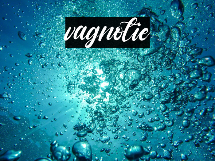 vagnotie Example 1
