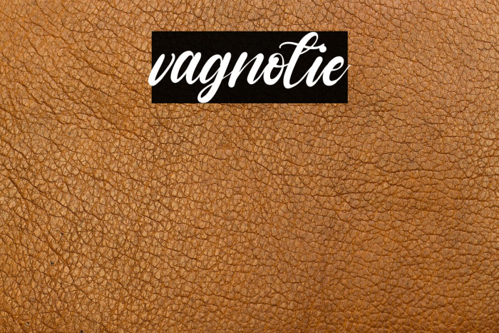vagnotie Example 2
