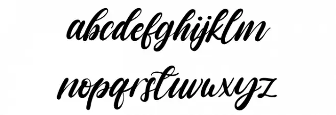 vagnotie Font Litere mici