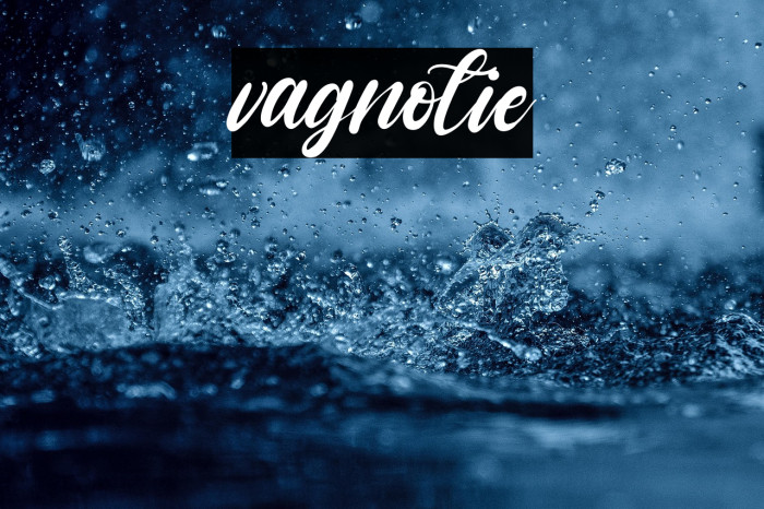 vagnotie Example 2
