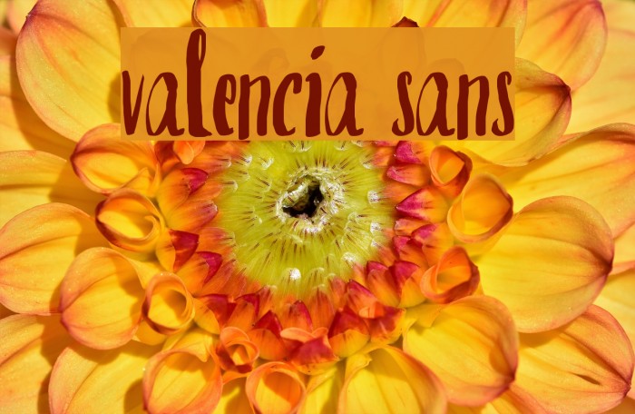 valencia sans Font examples