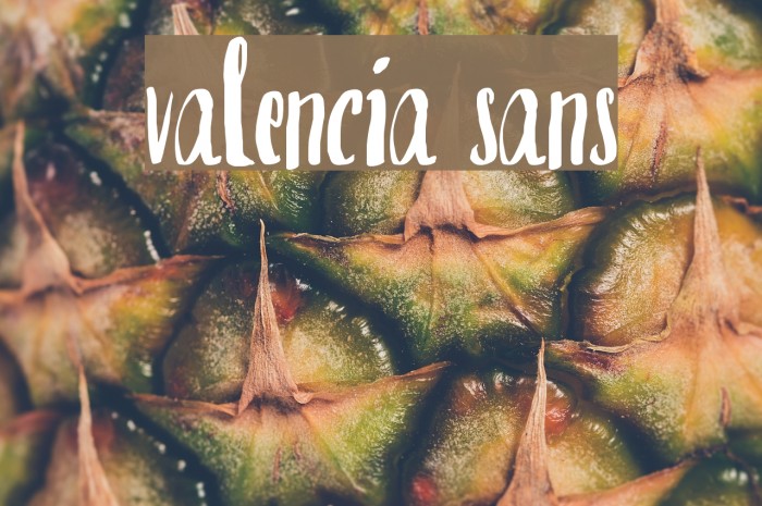 valencia sans Font examples