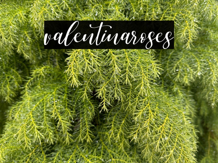 valentinaroses Example 1