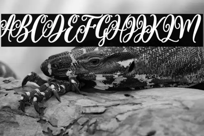 valentine Font examples