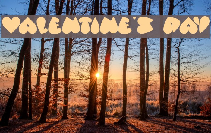 valentine's day Font examples