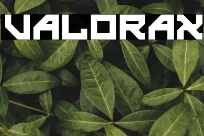 valorax Example 1