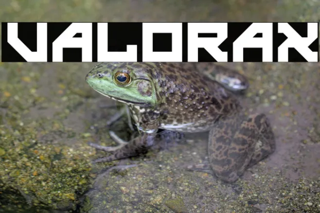 valorax Example 2