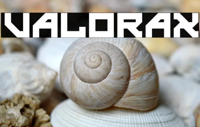 valorax Example 3
