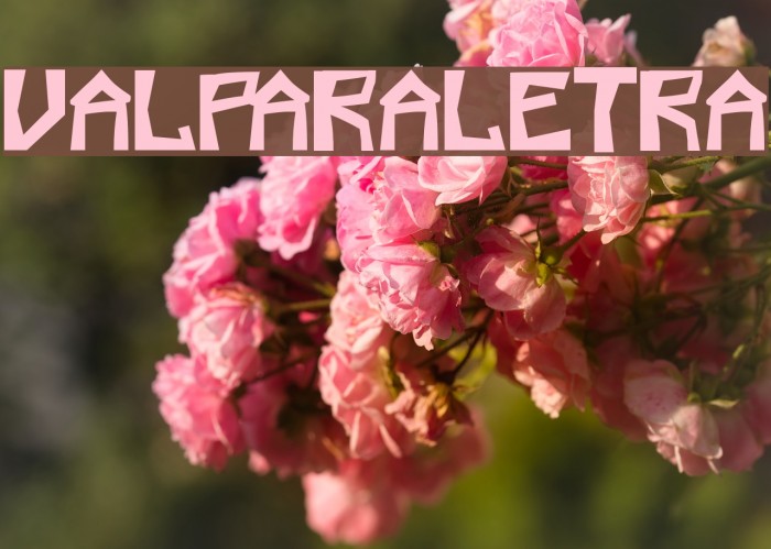 valparaletra Example 2