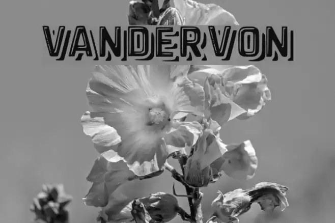 vandervon Font examples