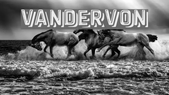 vandervon Font examples