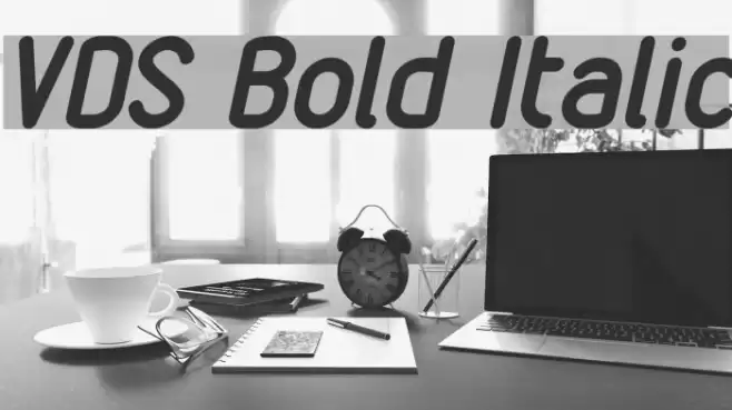 VDS Bold Italic  examples