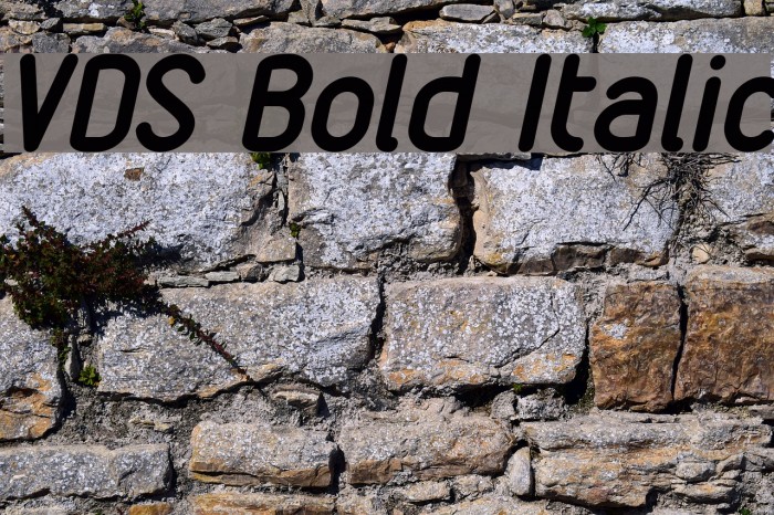 VDS Bold Italic Font examples
