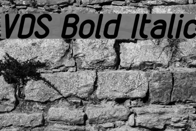 VDS Bold Italic  examples
