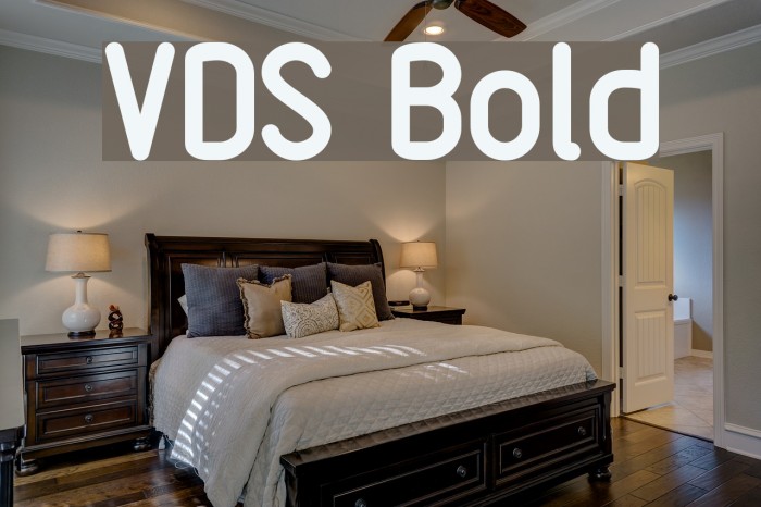 VDS Bold Font examples