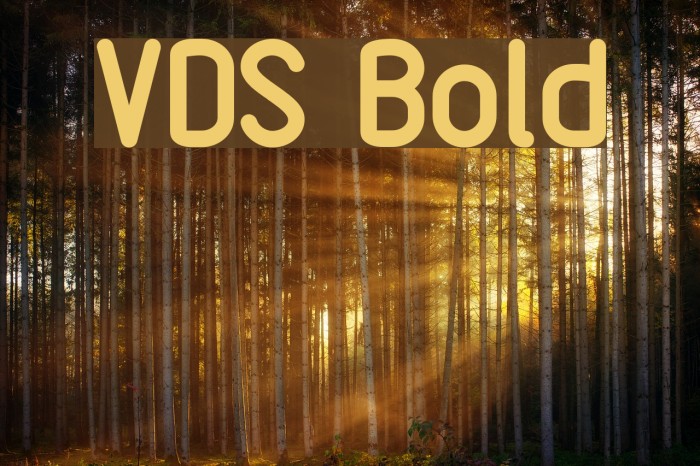 VDS Bold Font examples