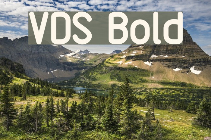VDS Bold Font examples