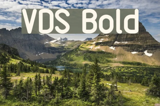 VDS Bold Example 3