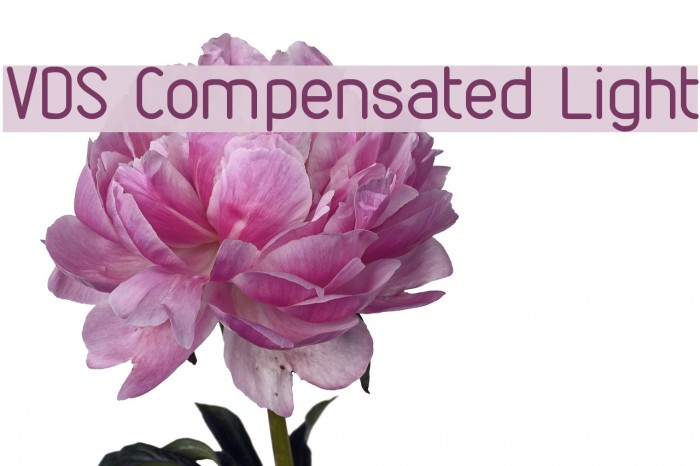 VDS Compensated Light フォント examples