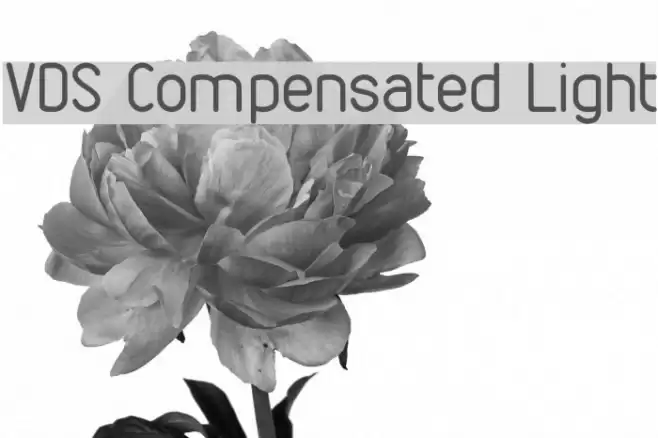 VDS Compensated Light フォント examples