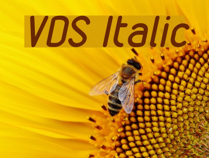 VDS Italic Font examples