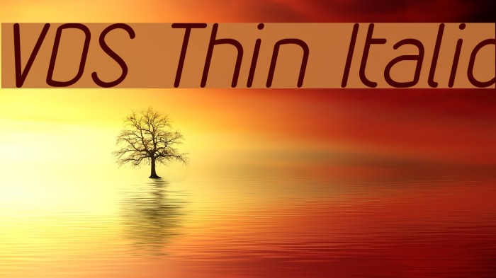VDS Thin Italic Font examples