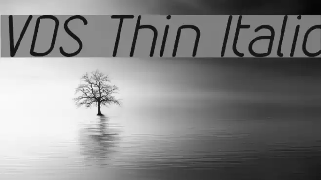 VDS Thin Italic फ़ॉन्ट examples