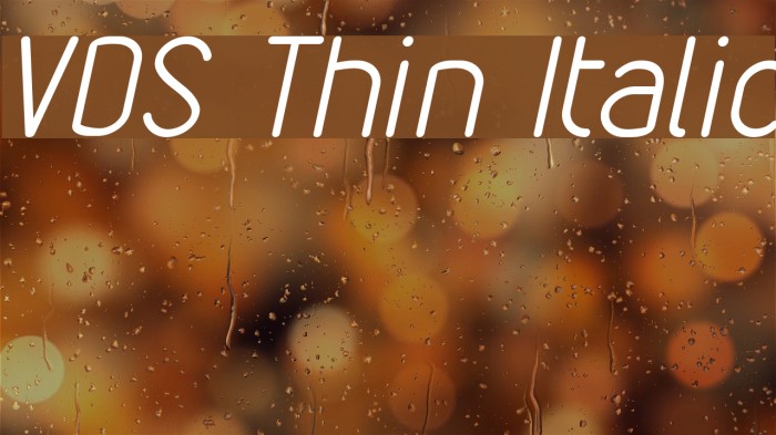 VDS Thin Italic Font examples
