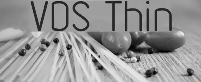 VDS Thin Font examples