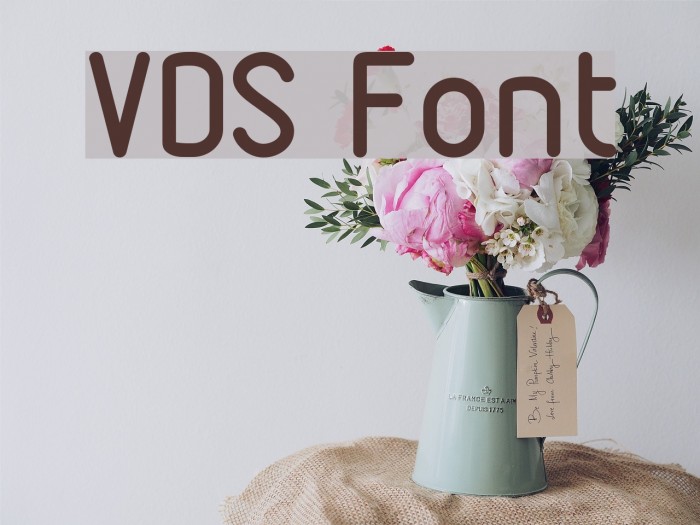 VDS Font examples