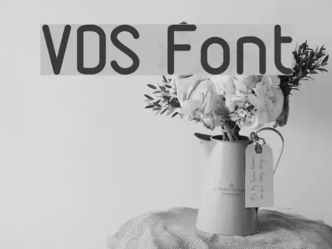 VDS Font examples