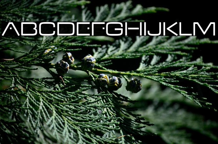 VDub-Regular Example 1