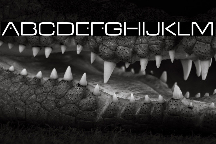 VDub-Regular Example 3