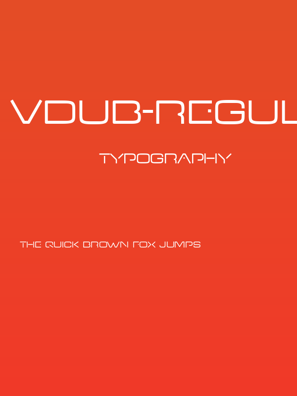 VDub-Regular Poster