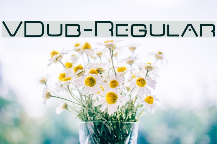 VDub-Regular Font examples
