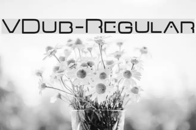 VDub-Regular Font examples