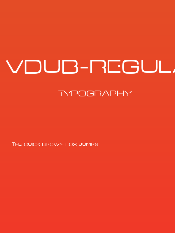 VDub-Regular Poster