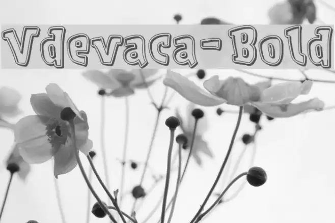 Vdevaca-Bold Font examples
