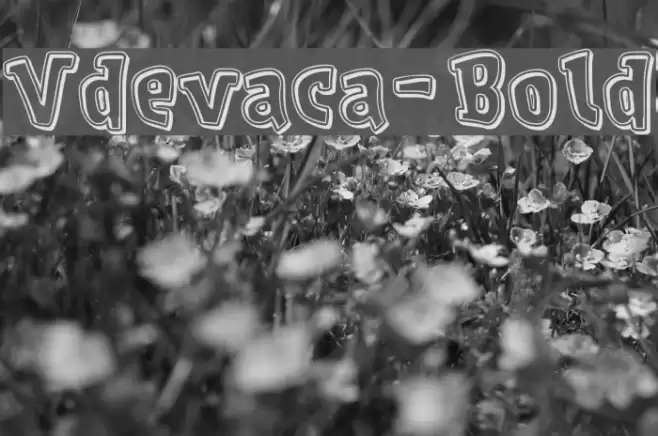 Vdevaca-Bold Font examples