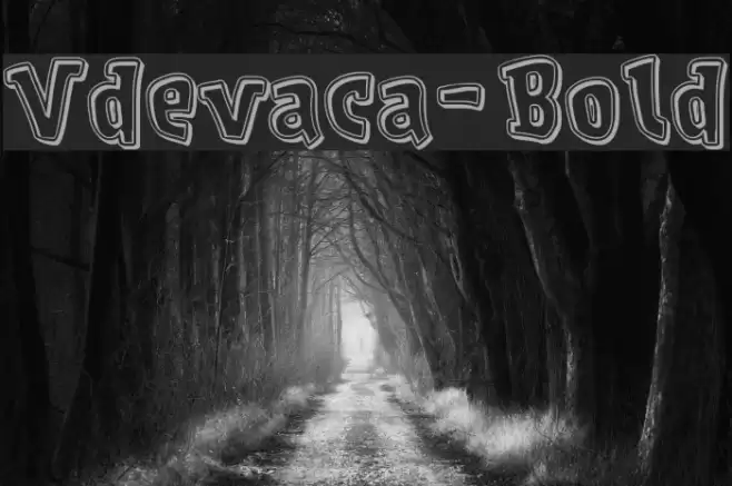 Vdevaca-Bold Font examples